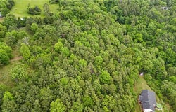Buck Mountain  RD, Dover, AR 72837