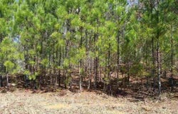 0 Shawnee Trail, Dallas, GA 30157