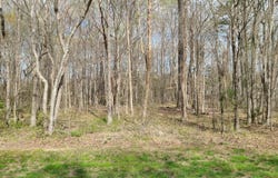 89 Penns Place, Timberlake, NC 27583