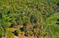 13163 State Route Ff, West Plains, MO 65775