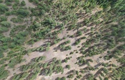 NKA Weaver Way, Deer Park, WA 99006