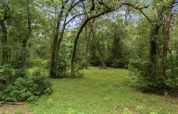 140 Rice Ave, Bastrop, TX 78602