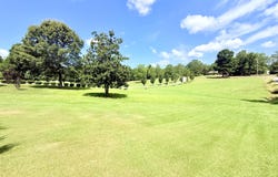 367 Dr King Drive, Gore Springs, MS 38929