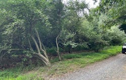 Pleasant Grove Rd, Washington Twp., NJ 07853