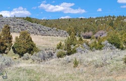 Alder, MT 59710