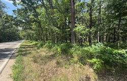 Vl Cleveland Drive, Bitely, MI 49309