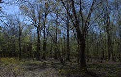 TBD Atchafalaya Hwy., Breaux Bridge, LA 70517