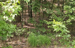 58 Pamplona Way, Hot Springs Village, AR 71909