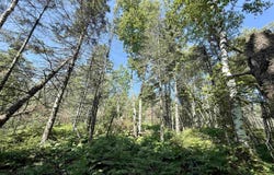 xxx Hwy 61 S, Two Harbors, MN 55816