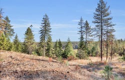 S Scribner Rd, Cheney, WA 99004