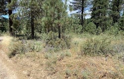 200 Idle Hour Drive, Portola, CA 96122