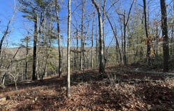 Lot 45 Black Diamond DR, New Castle, VA 24127