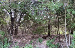 PR 1032 Tx-P7, Meridian, TX 76665