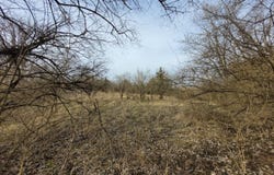 1350 Stahlheber Road, Hamilton, OH 45013