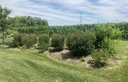 1449 Equestrian Drive, Grayslake, IL 60030
