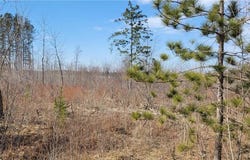 Tbd 513th Ave E, Tract E, Ottertail, MN 56571