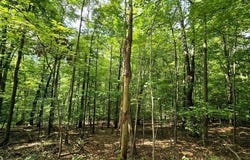 1756 Mohican Lane, Hide A Way Hills, OH 43107