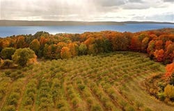 1330 EDEN HILL ROAD, BENZONIA TWP, MI 49617
