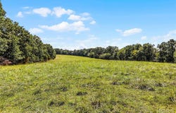 (31.46+/-ac) Tract #4 Horstman Road, New Haven, MO 63068