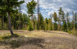 120 Marion Pines Drive, Marion, MT 59925