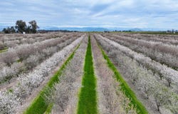 10847 E Belmont Avenue, Sanger, CA 93657