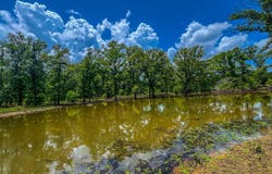 Tbd County Road 1906, Jacksonville, TX 75766
