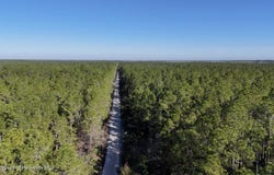 Old Train Road, Deltona, FL 32738