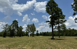 8.72 Acres Tandem Trail, Windsor, SC 29856