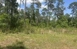 Rupp Road, Ochlocknee, GA 31773