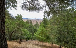1400 Spencer Street, Cambria, CA 93428