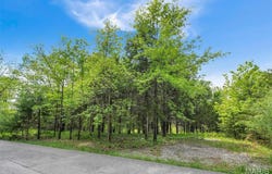 900 Silver Fox Drive, Wright City, MO 63390