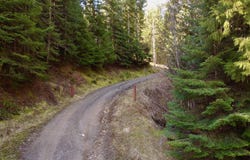 498 Revenue Gulch Rd, Silverton, ID 83867