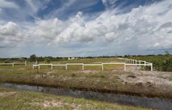 20375 NW 248 STREET, OKEECHOBEE, FL 34972