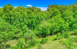 2636 Shields Ferry Rd, Morristown, TN 37814