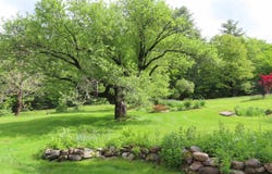 95 Apple Hill Road, Sullivan, NH 03445