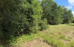 Grand Oak Street lot: 529, Palacios, TX 77465