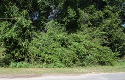 Lot 20 Winchester Way, Crestview, FL 32539