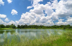 4900 Andreas Road, Round Top, TX 78954