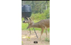 00 Ebenezer Church Rd, Bassfield, MS 39421