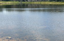 2250 Old Lockhart RD, Plum, TX 78952