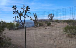 327-05-191 LOST MINE Road, Dolan Springs, AZ 86441