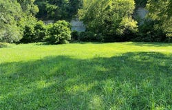 2209 Gordon Street, Hannibal, MO 63401