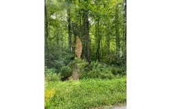 16165 Brushy Rd, Pikeville, KY 41501