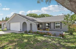1009 BLACK KNIGHT Drive, VALRICO, FL 33594