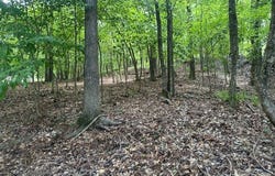 117 Bluegill Rd, Eatonton, GA 31024