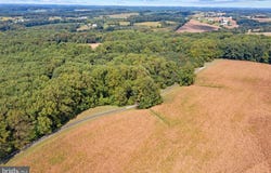 2910 HUNTER MILL ROAD, WHITE HALL, MD 21161