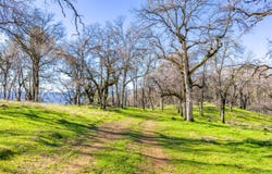 0 Palace Lane, Placerville, CA 95667