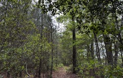 Turnpike Rd, Bohannon, VA 23109