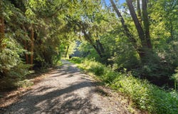 3812 Brookside Drive, Michiana Shores, IN 46360