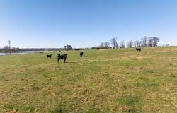 Turner Rd., Rose Bud, AR 72137-0000